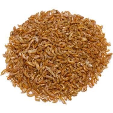 Rotifish Gammarus 750 g