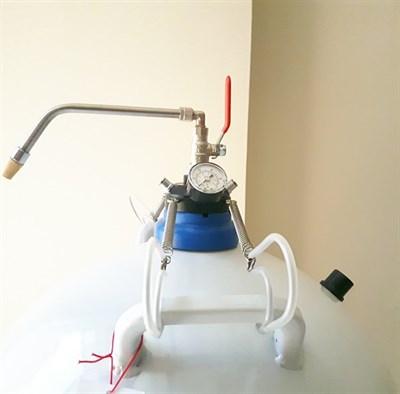 Yalangoch tovuq fotosurati