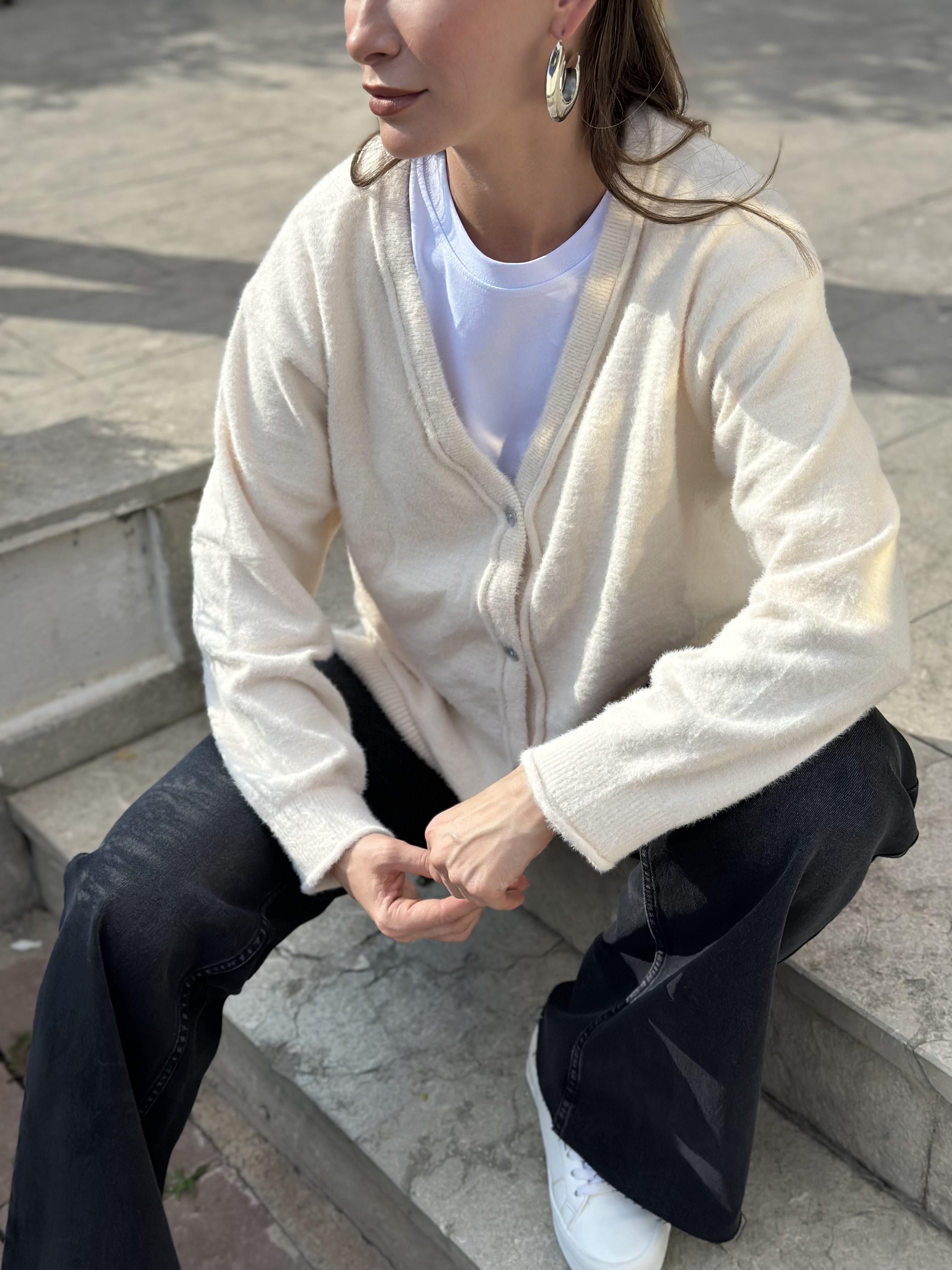 251020 DORT DUGME HIRKA