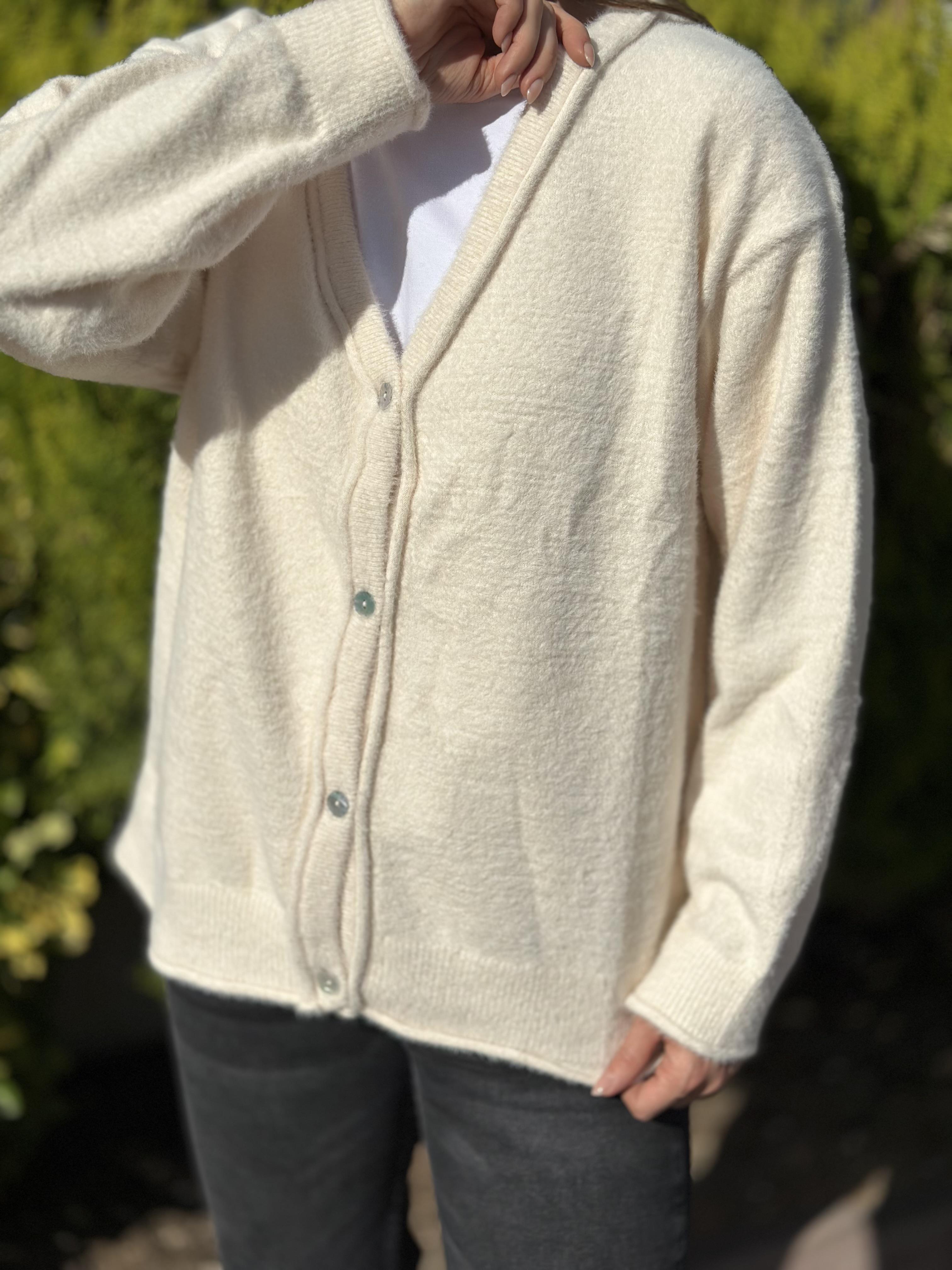 251020 DORT DUGME HIRKA
