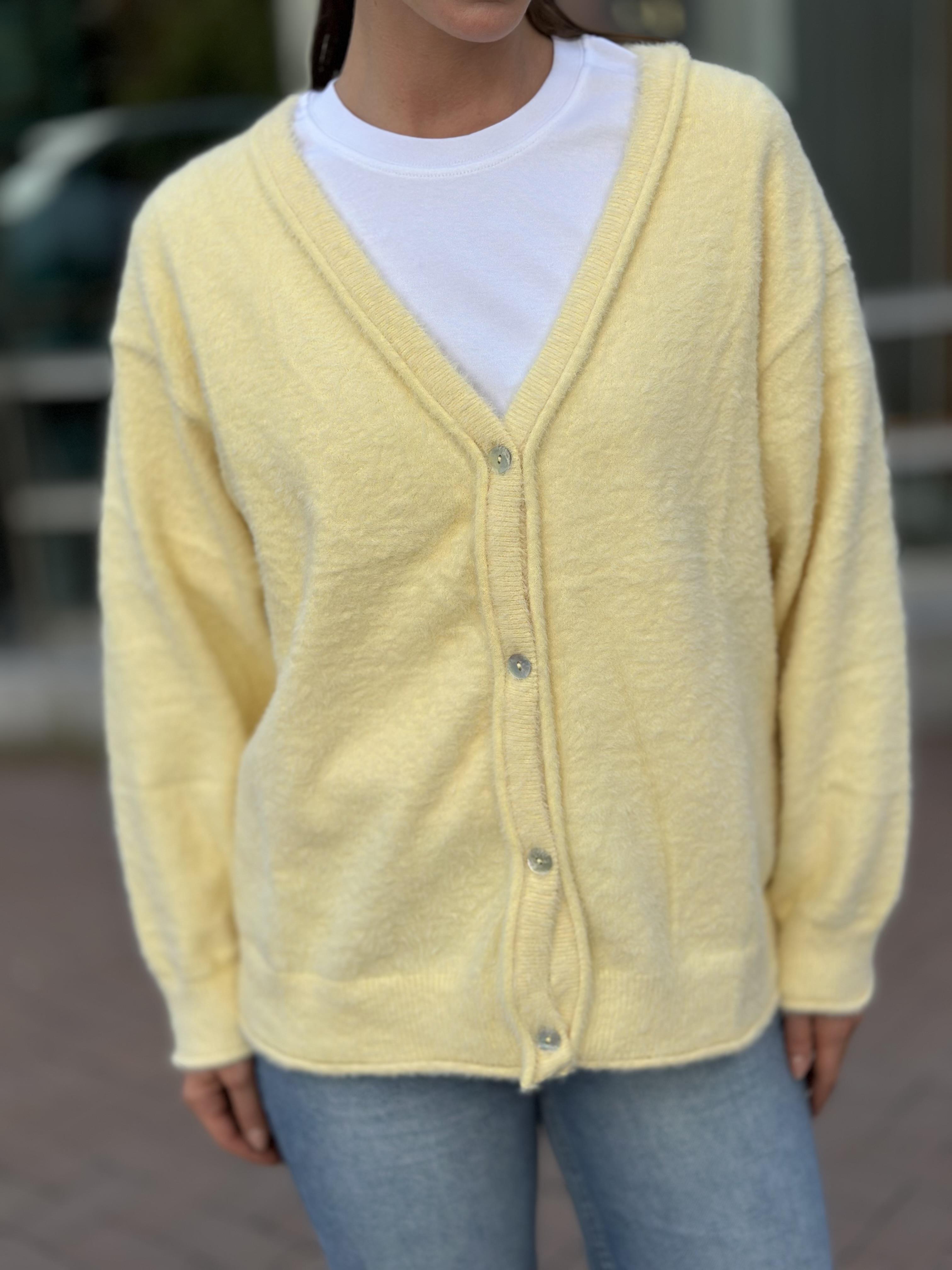 251020 DORT DUGME HIRKA