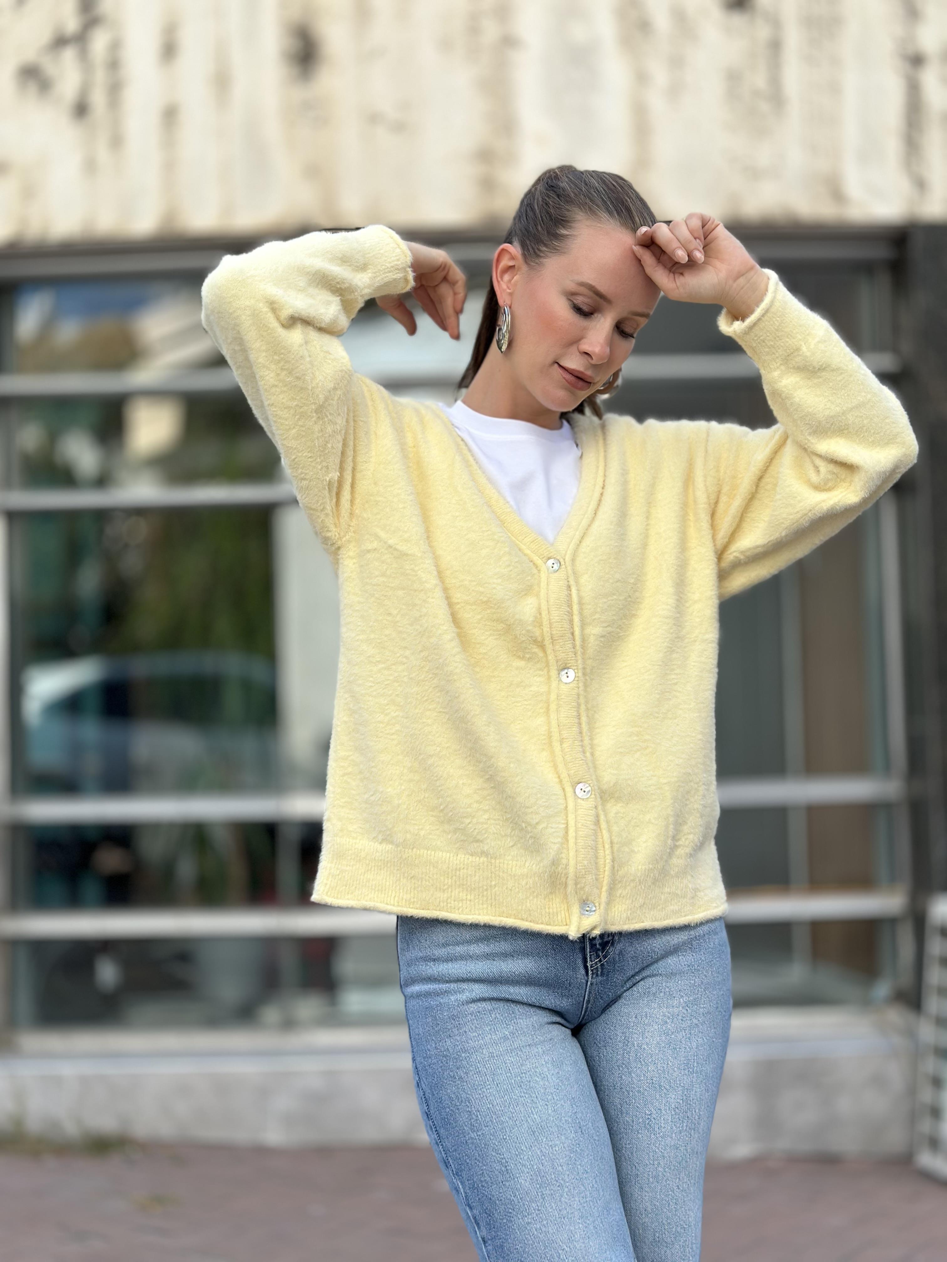 251020 DORT DUGME HIRKA