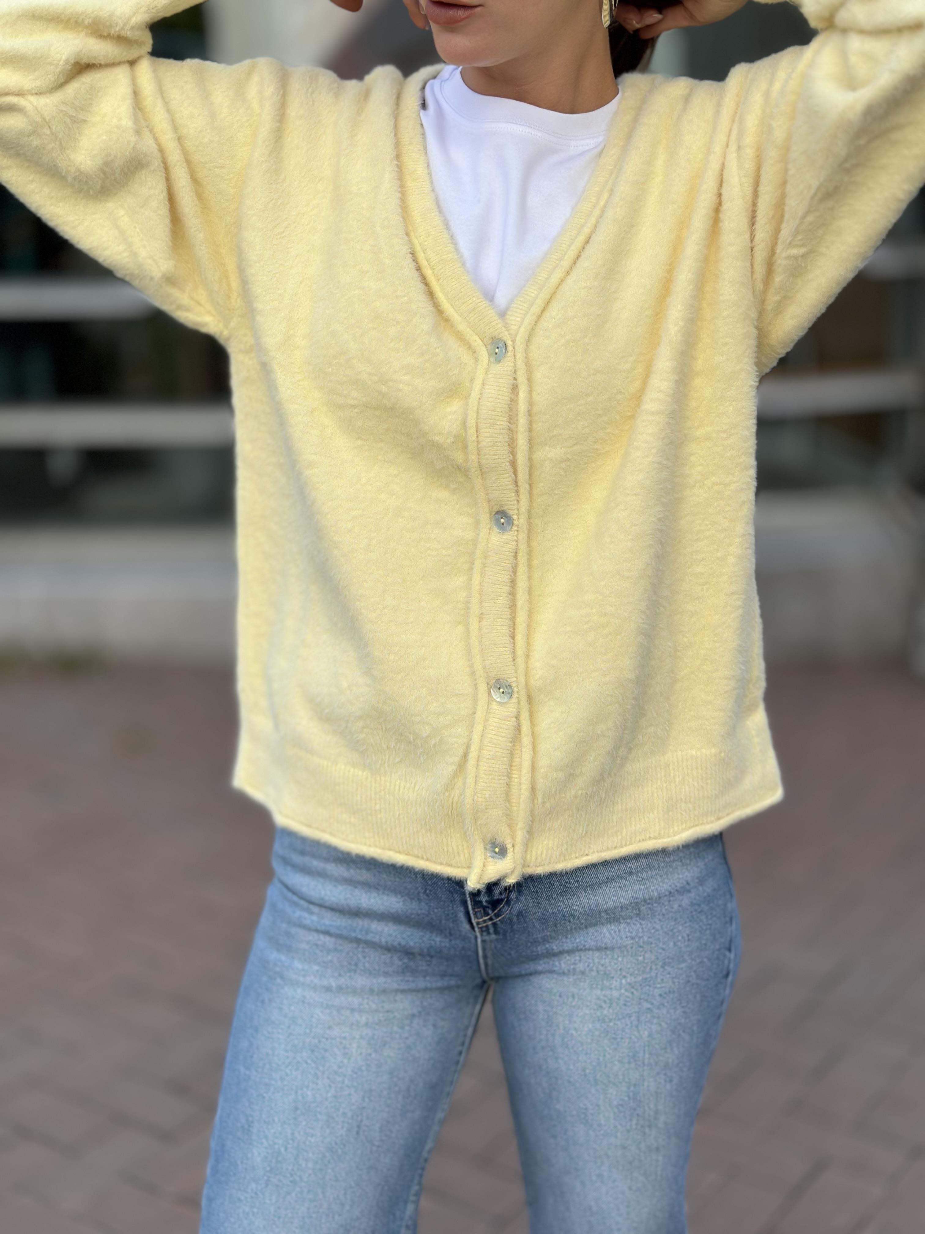 251020 DORT DUGME HIRKA