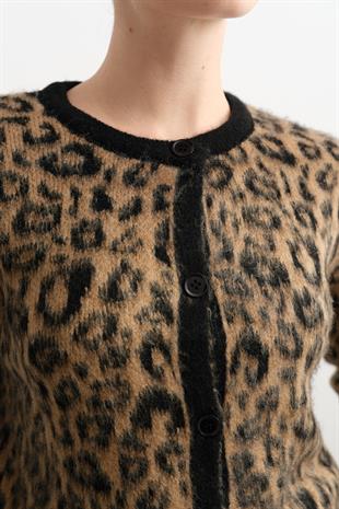 10108 LEOPAR HIRKA
