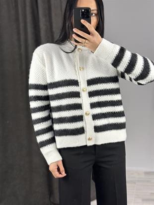 231118 KALIN BES DUGMELI HIRKA