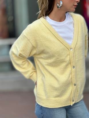 251020 DORT DUGME HIRKA