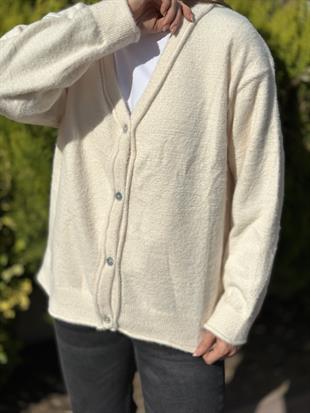 251020 DORT DUGME HIRKA