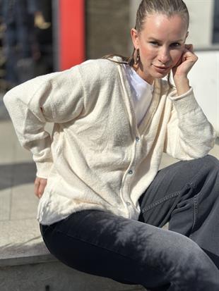 251020 DORT DUGME HIRKA