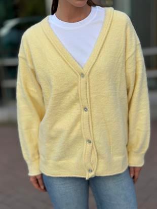 251020 DORT DUGME HIRKA