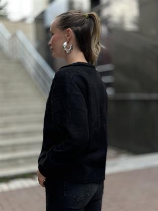 251020 DORT DUGME HIRKA
