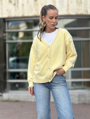 251020 DORT DUGME HIRKA