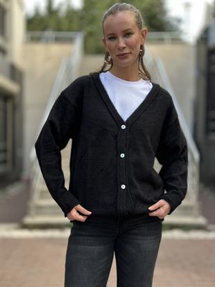 251020 DORT DUGME HIRKA
