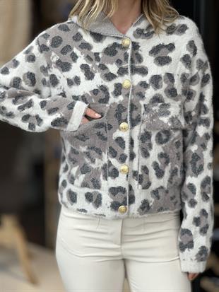 4202 LEOPAR KAPISONLU HIRKA