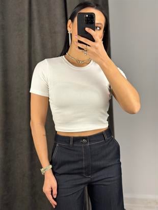 4676 BASIC CROP