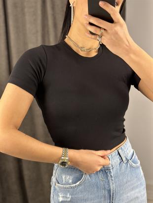 4676 BASIC CROP