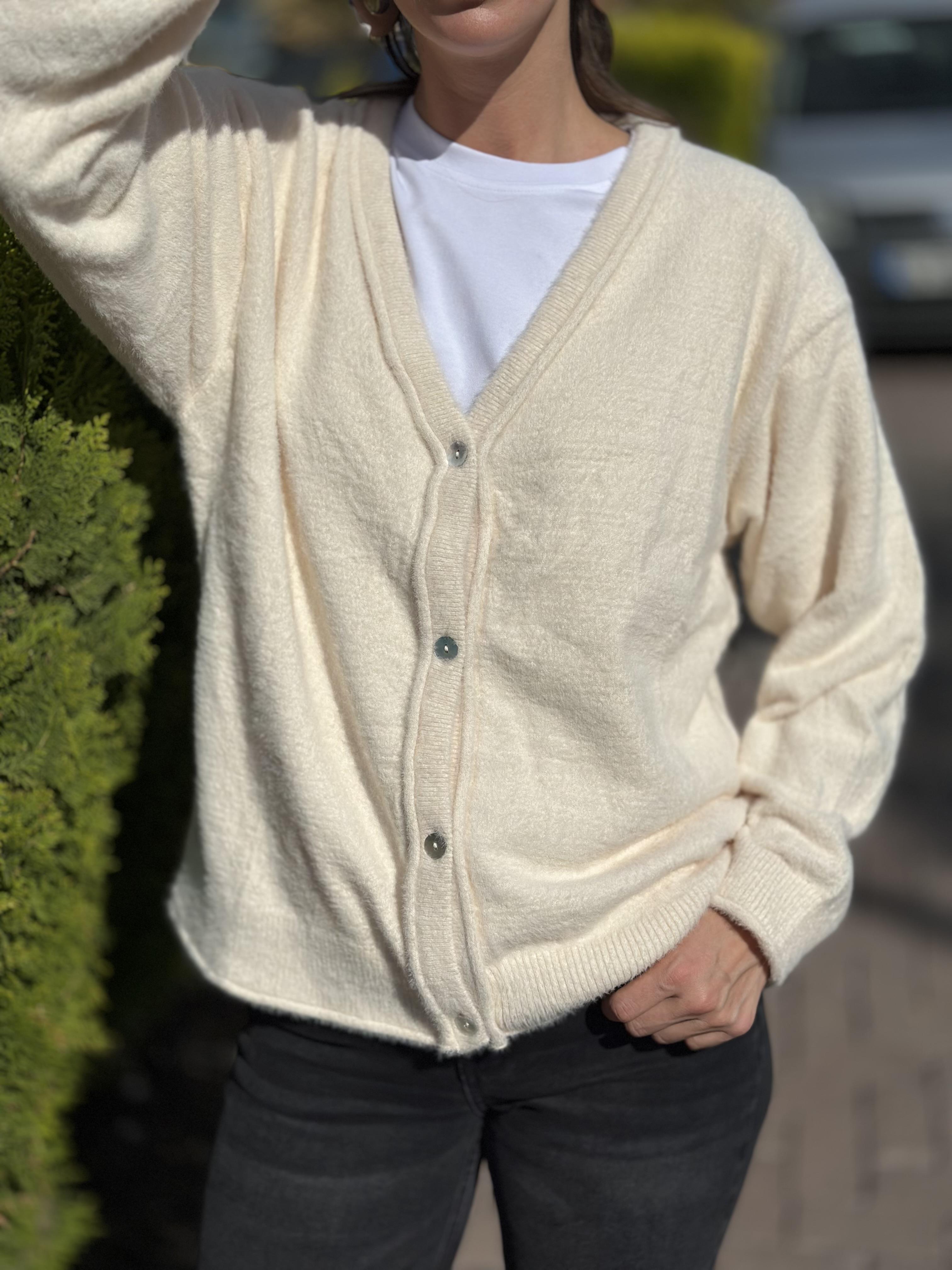 251020 DORT DUGME HIRKA
