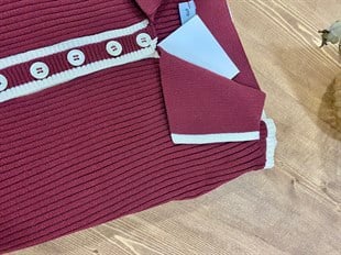 Bordo Polo Yaka Elit Triko Bluz