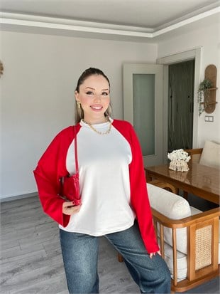 Kırmızı Beyaz Kontrast Renkli Modal Basic