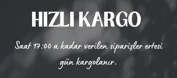 Aynı Gün Kargo