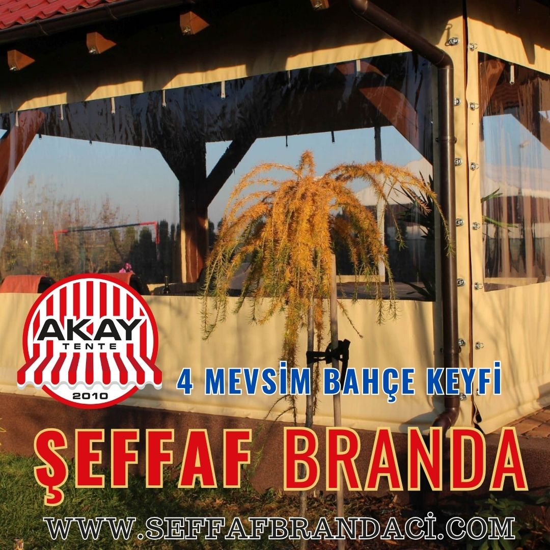 Şeffaf Brandanın Avantajları