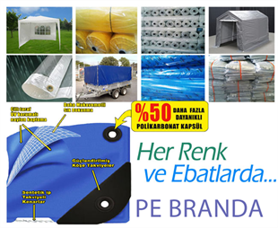 Fındık Brandası