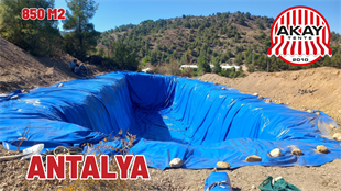 Gölet Brandası fiyatları