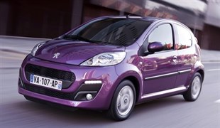 Peugeot Modelleri Pamuklu Hambez Oto Brandası