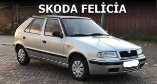 Skoda Modelleri Oto Branda İçi Miflonlu Su Geçirmez