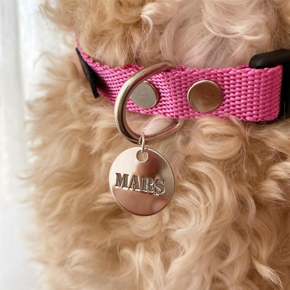 Gümüş Pembe Yuvarlak Köpek Tasması