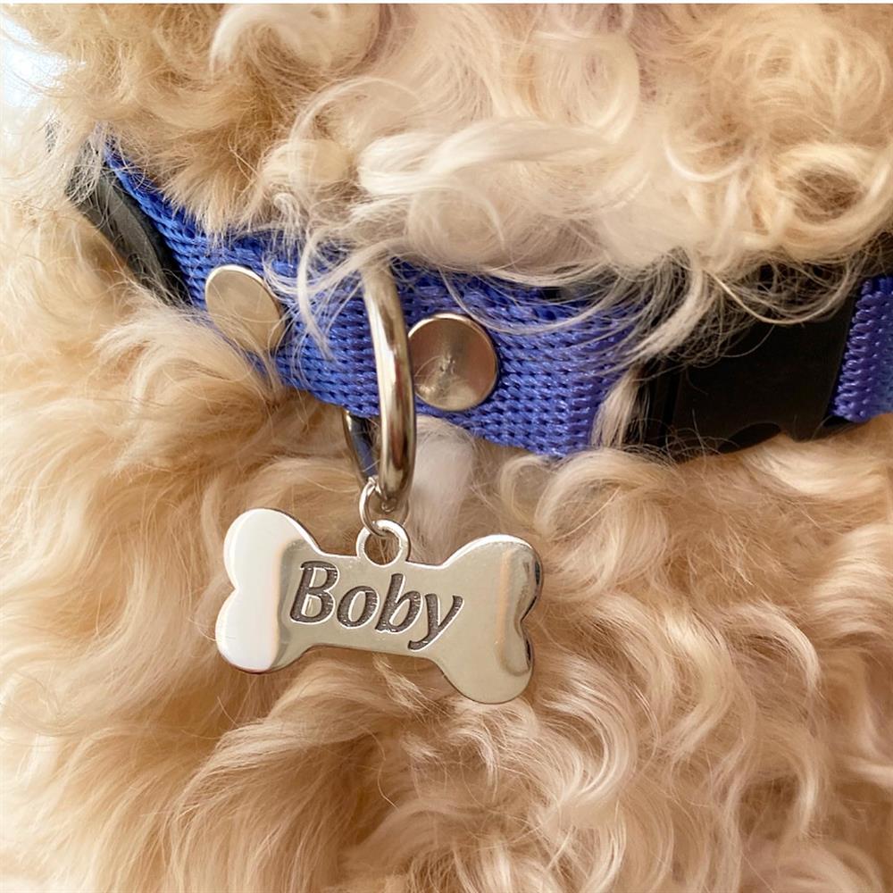 Gümüş Saks Mavi Kemik Köpek Tasması