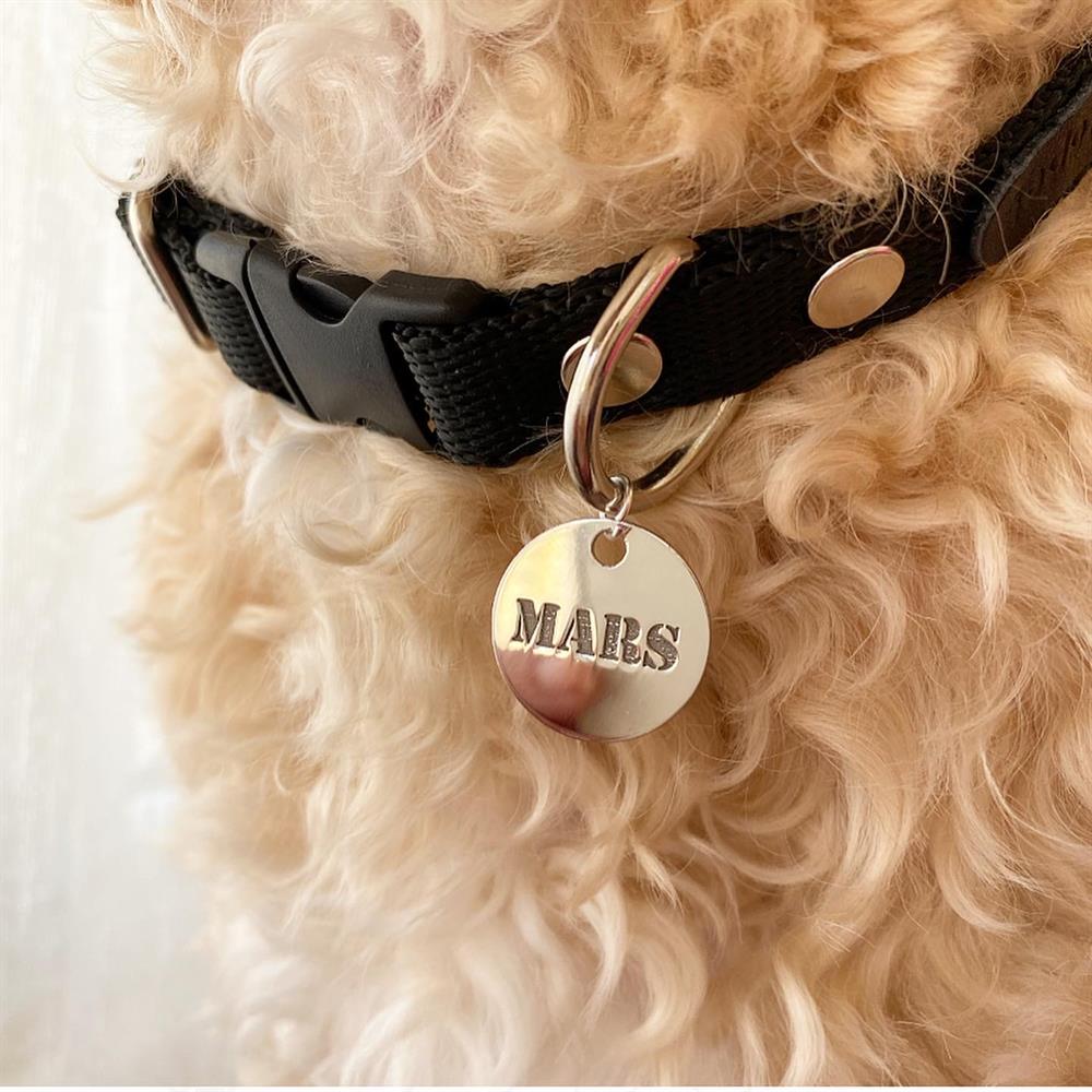 Gümüş Siyah Yuvarlak Köpek Tasması