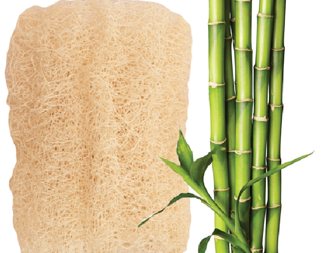 Mepal bambu veya mısır lifi kullanarak da ürünler yapıyor musunuz?