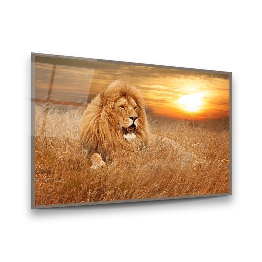 Aslan Yatay Cam Tablo-Glass Art Concept