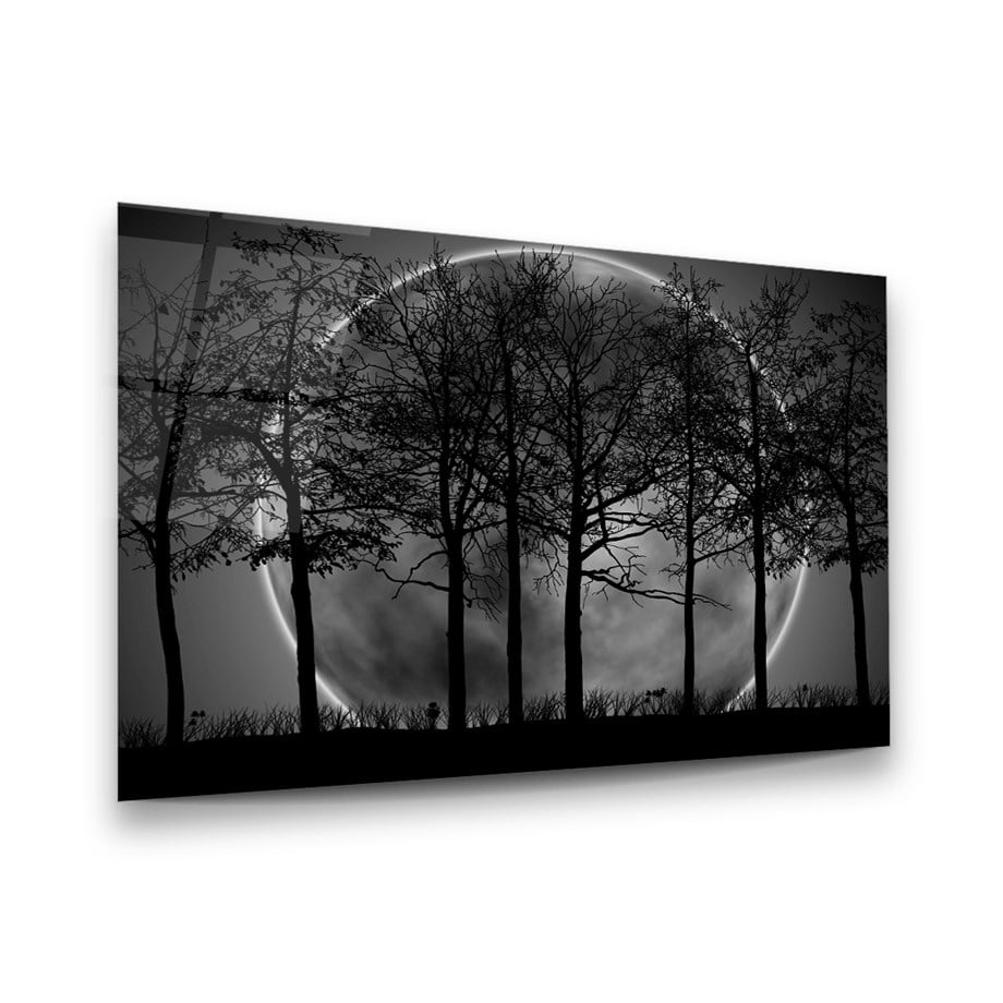 Ay ve Ağaçlar Yatay Cam Tablo-Glass Art Concept