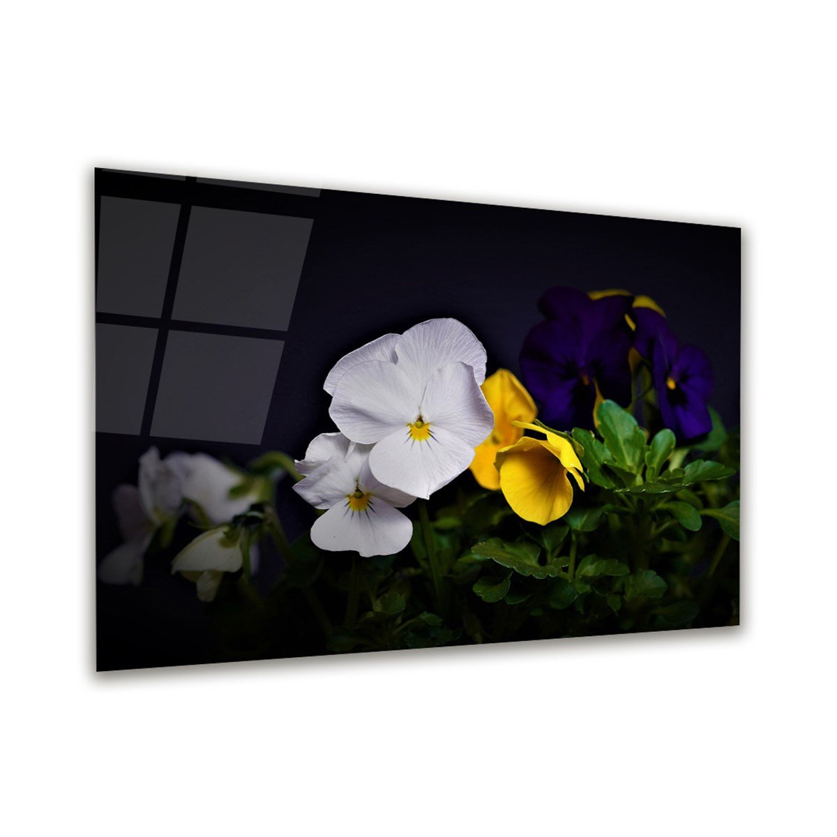 Çiçek Foto Manipülasyon Yatay Cam Tablo