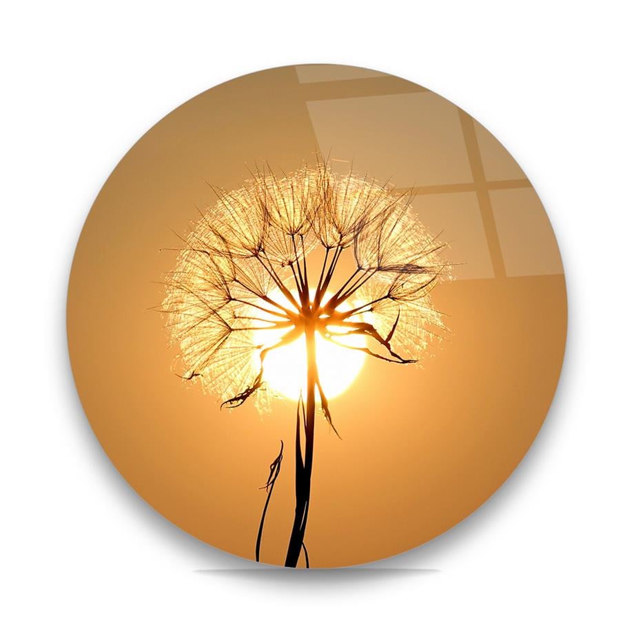 Dandelion Çiçeği Yuvarlak Cam Tablo-Glass Art Concept