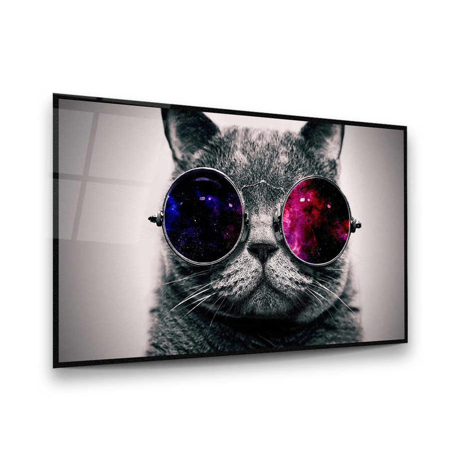 Gözlüklü Kedi Manipülasyon Yatay Cam Tablo-Glass Art Concept