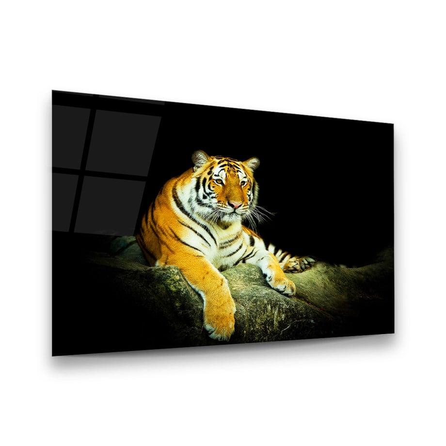 Kaplan Yatay Cam Tablo-Glass Art Concept