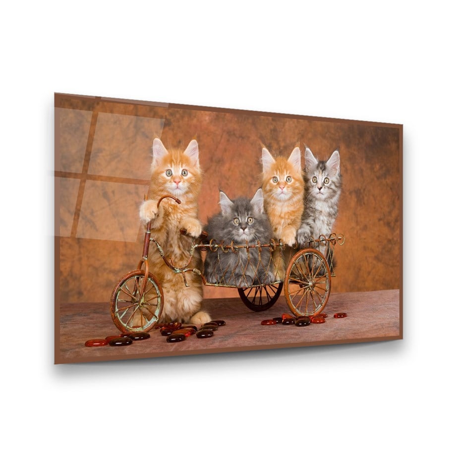 kediler Yatay Cam Tablo-Glass Art Concept