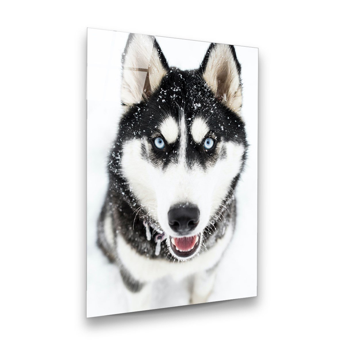 Kurt Dikey Cam Tablo