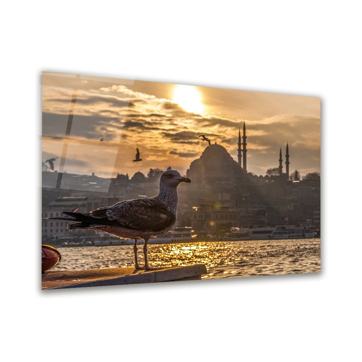Kuş Ve İstanbul Yatay Cam Tablo