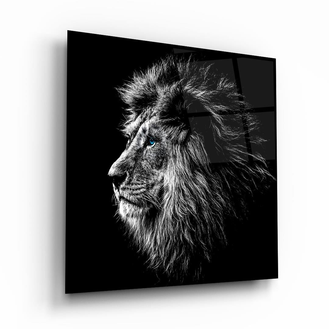 Mavi Gözlü Aslan Kare Cam Tablo-Glass Art Concept