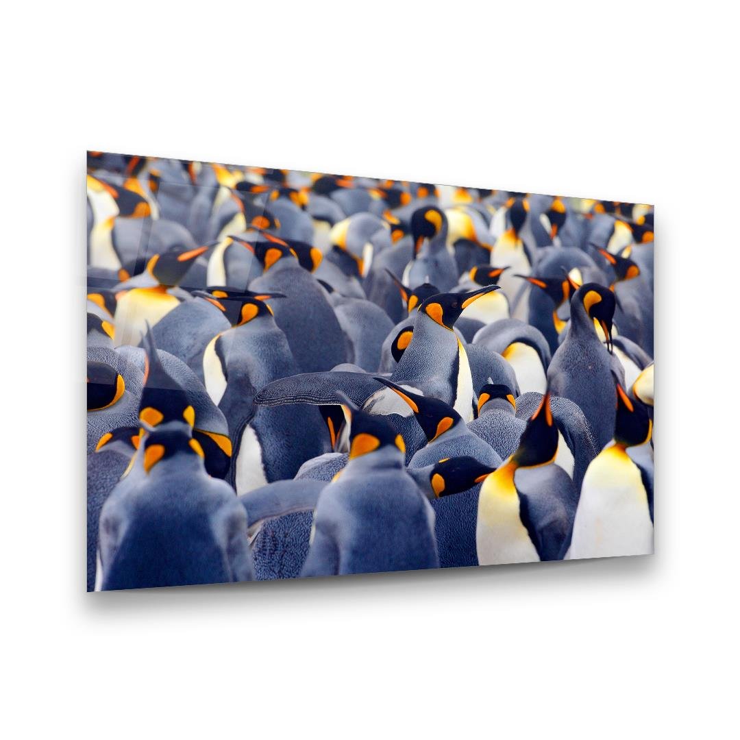 Penguenler Yatay Cam Tablo-Glass Art Concept