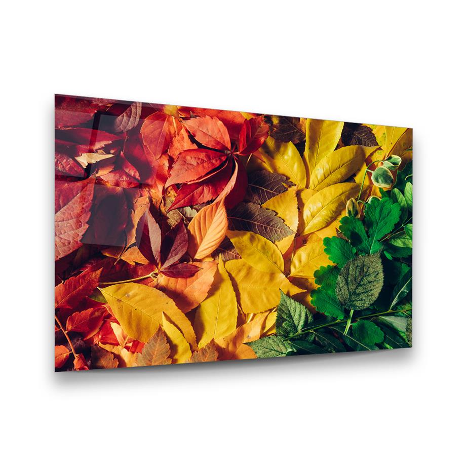 Renkli Yapraklar Yatay Cam Tablo-Glass Art Concept