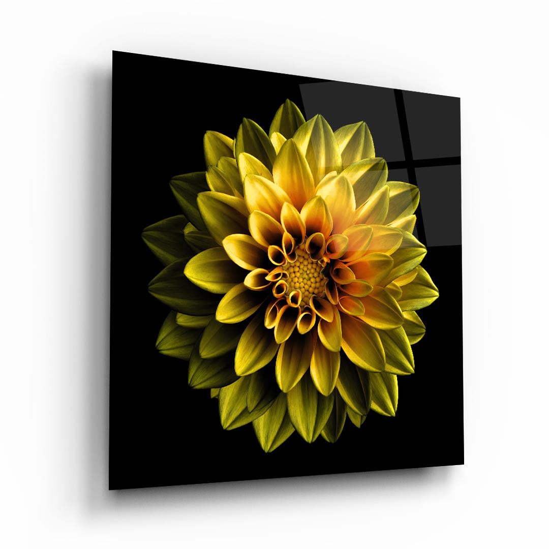 Sarı Çiçek Kare Cam Tablo-Glass Art Concept