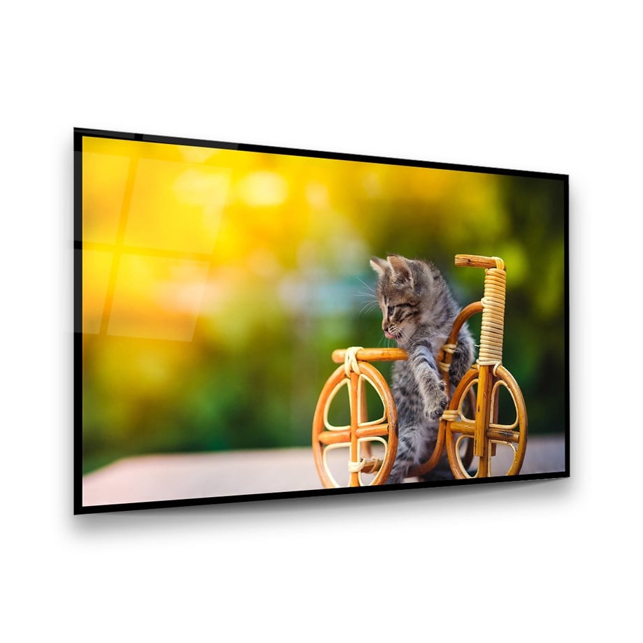 Yavru Kedi Yatay Cam Tablo-Glass Art Concept