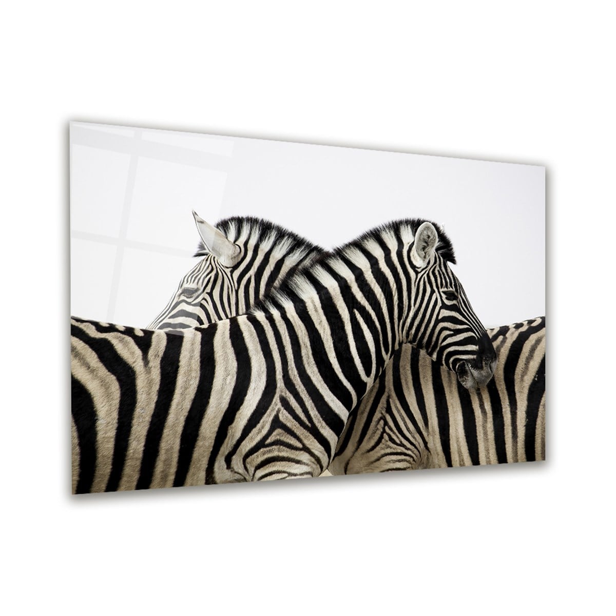 Zebra Yatay Cam Tablo