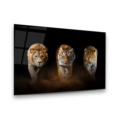 Aslan Kaplan Leopar Yatay Cam Tablo-Glass Art Concept
