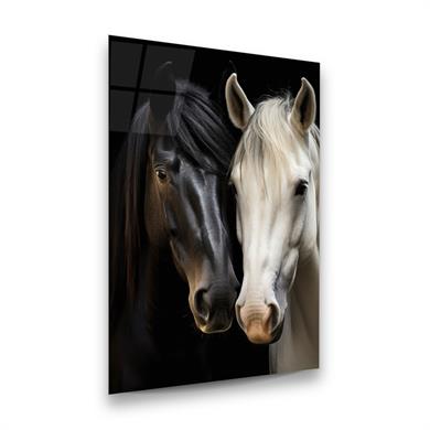 Siyah Beyaz Atlar Dikey Cam Tablo-Glass Art Concept