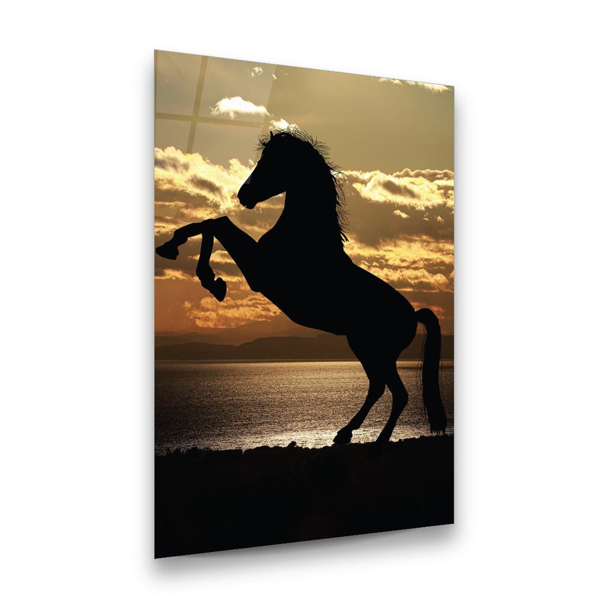 At Silüeti Dikey Cam Tablo